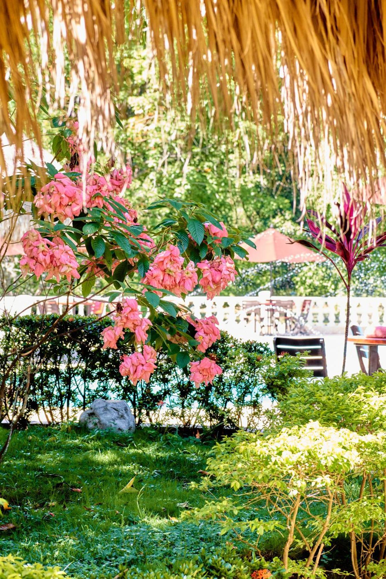 La Iguana De Santa Fe By Bernalo Hotels Santa Fe de Antioquia Exterior foto